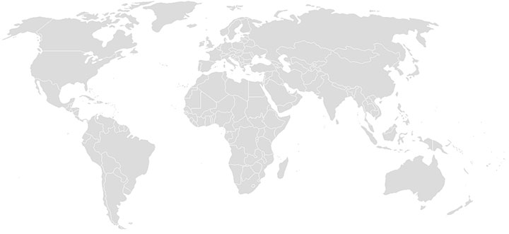 纵横国际