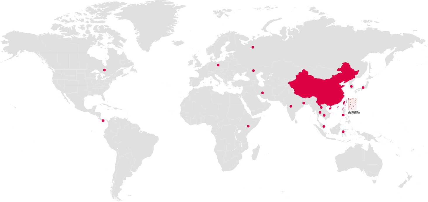 纵横国际