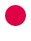 纵横国际