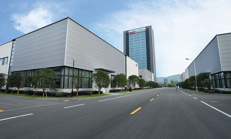 纵横国际