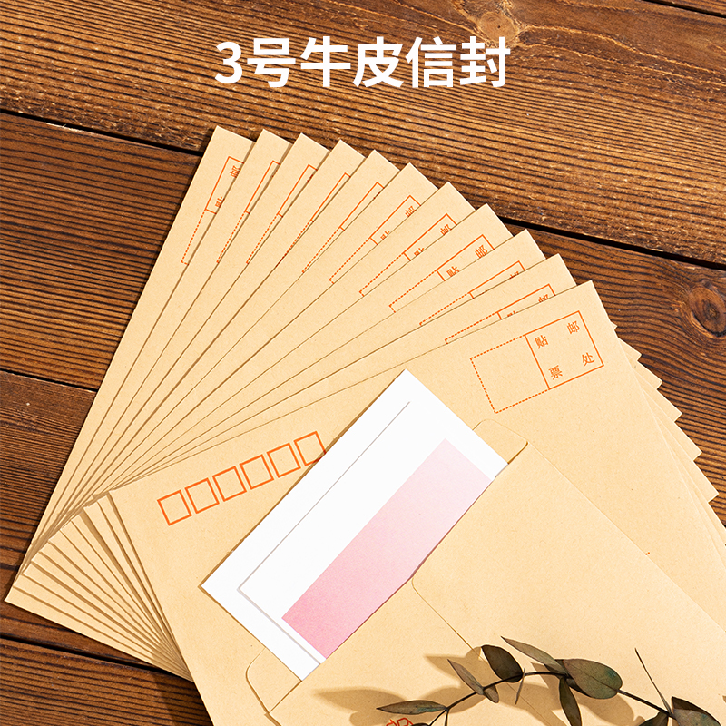 纵横3421牛皮信封(米黄色)-3号(20个/包)