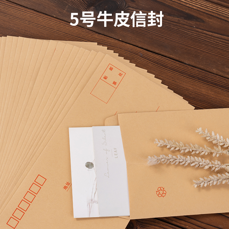 纵横3423牛皮信封(米黄色)-5号(20个/包)