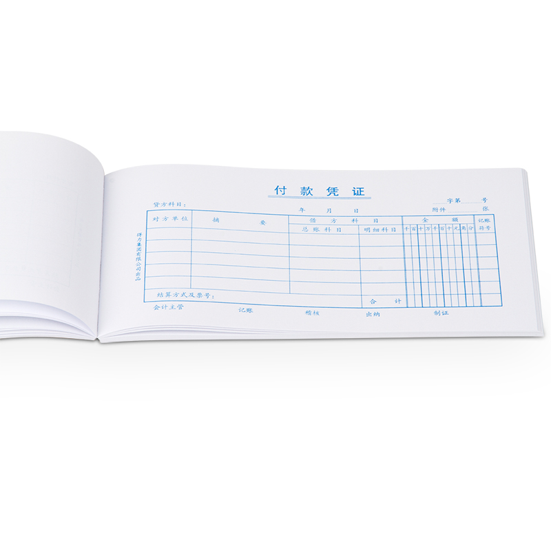 纵横3466付款凭证(白色)(本)