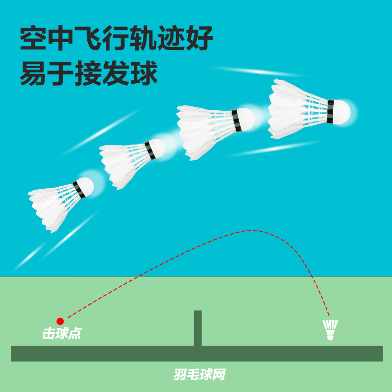 安格耐特F2209羽毛球(白色)(12只/筒)