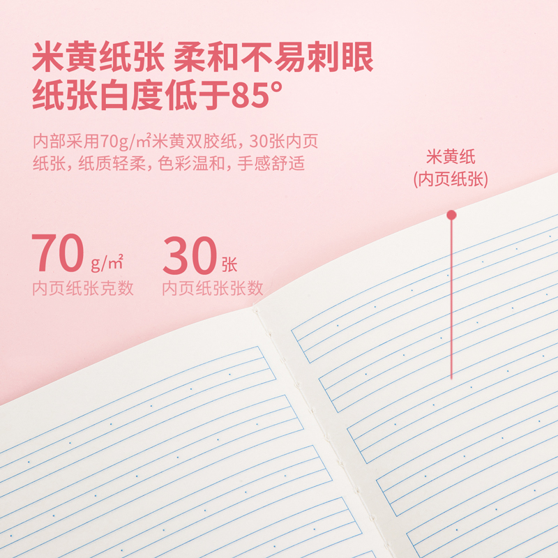 纵横FA530缝线本(拼音)
