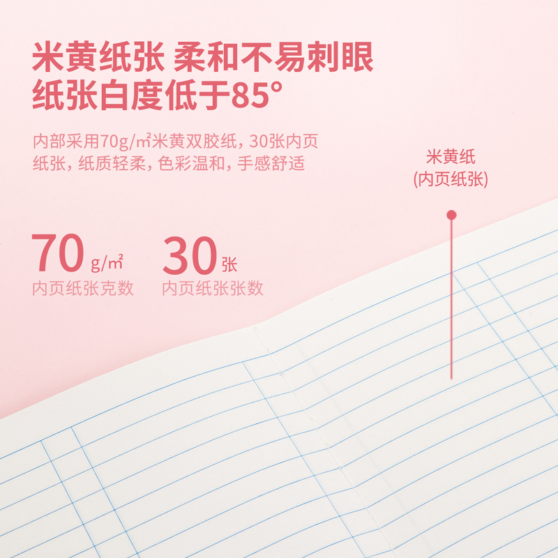 纵横FA530缝线本(数学本)