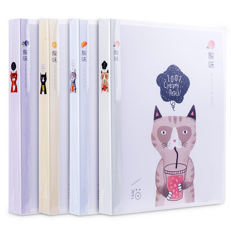 纵横HB560-01DW活页本(蓝莓)