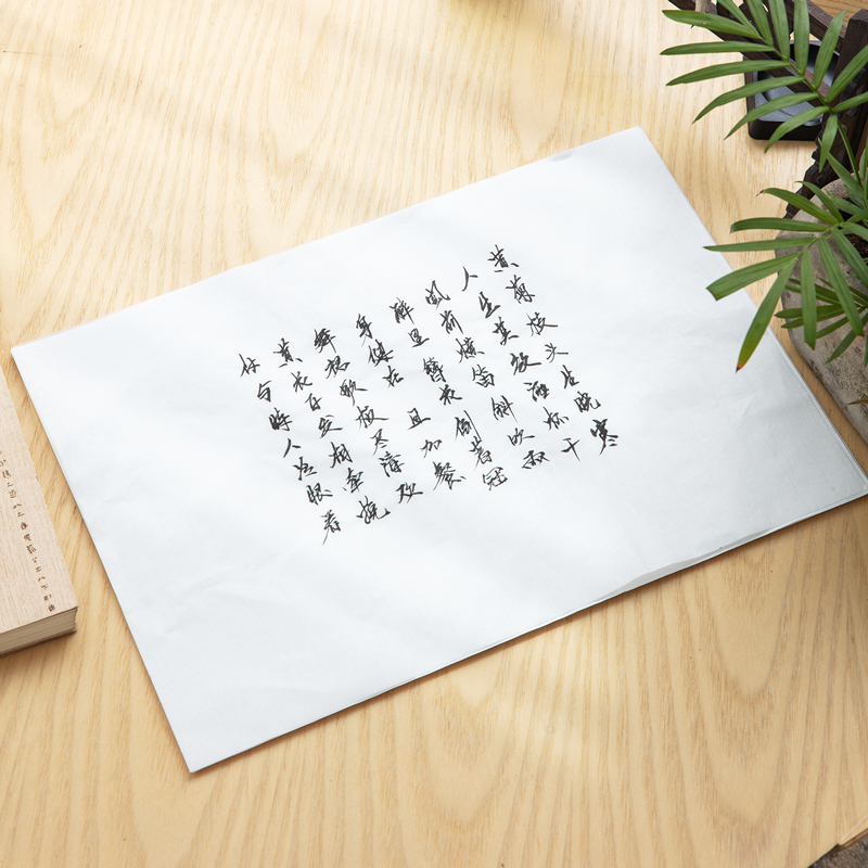 纵横75307书画纸(白)(30张/袋)