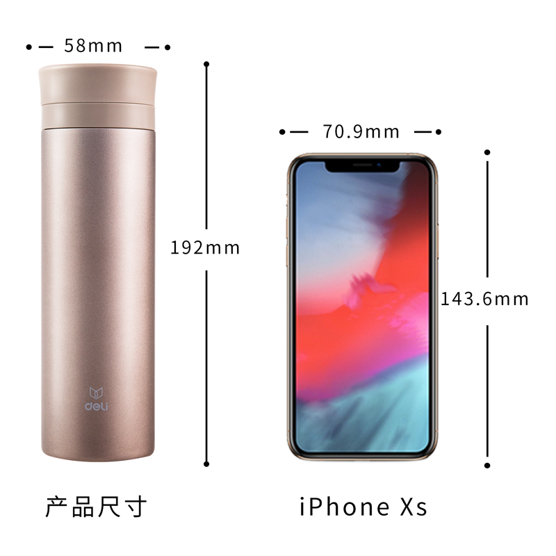 纵横17658保温杯(310ml)(香槟金)(1个/盒)