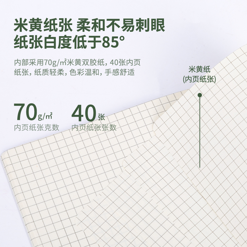 纵横DPB540PP骑马钉本(方格)(本)