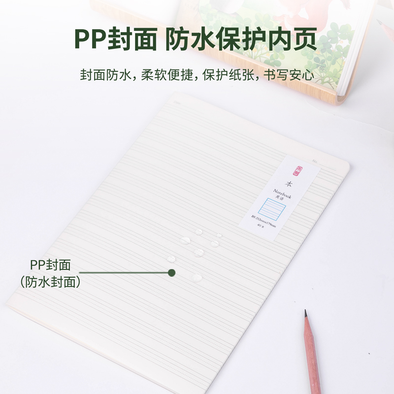 纵横DPB540PP骑马钉本(英语)(本)