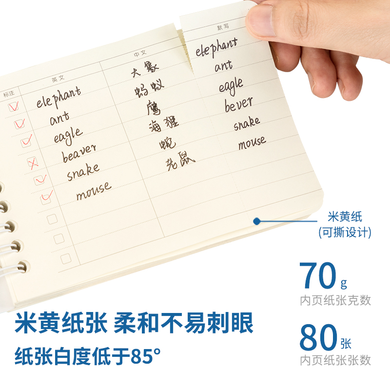 纵横24306螺旋本(单词本)(袋)