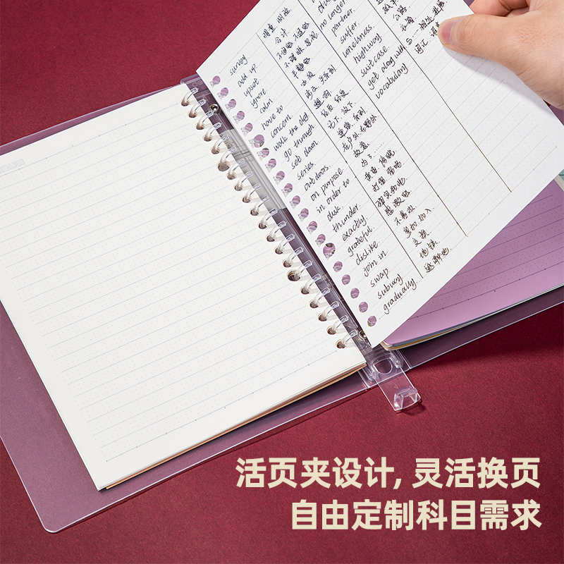 纵横24501高效笔记本(透明)(本)