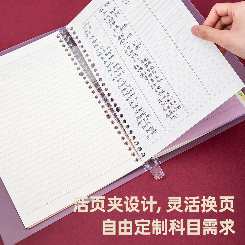 纵横24502高效笔记本(透明)(本)