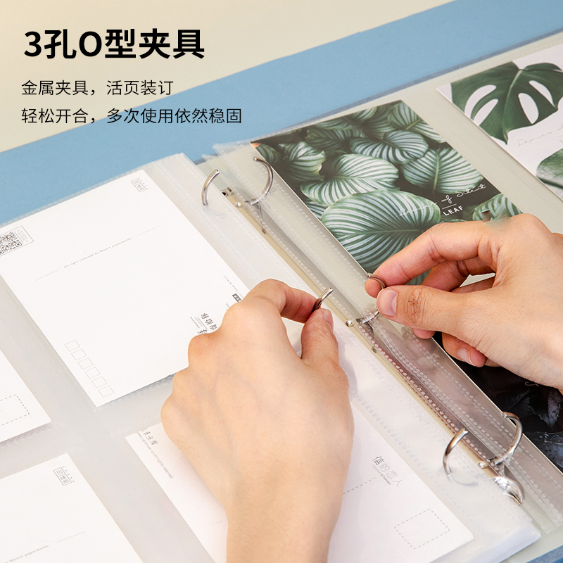 纵横65360票据收集册(混)(个)