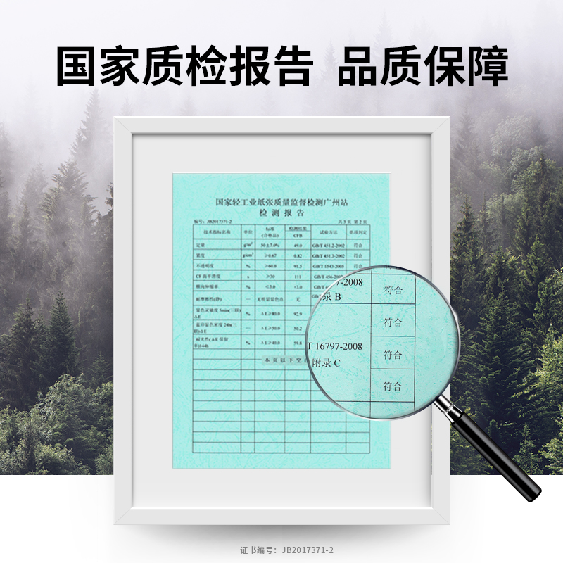 纵横多瑙河D241-2电脑打印纸(1/3CS彩色撕边)(1000页/盒)