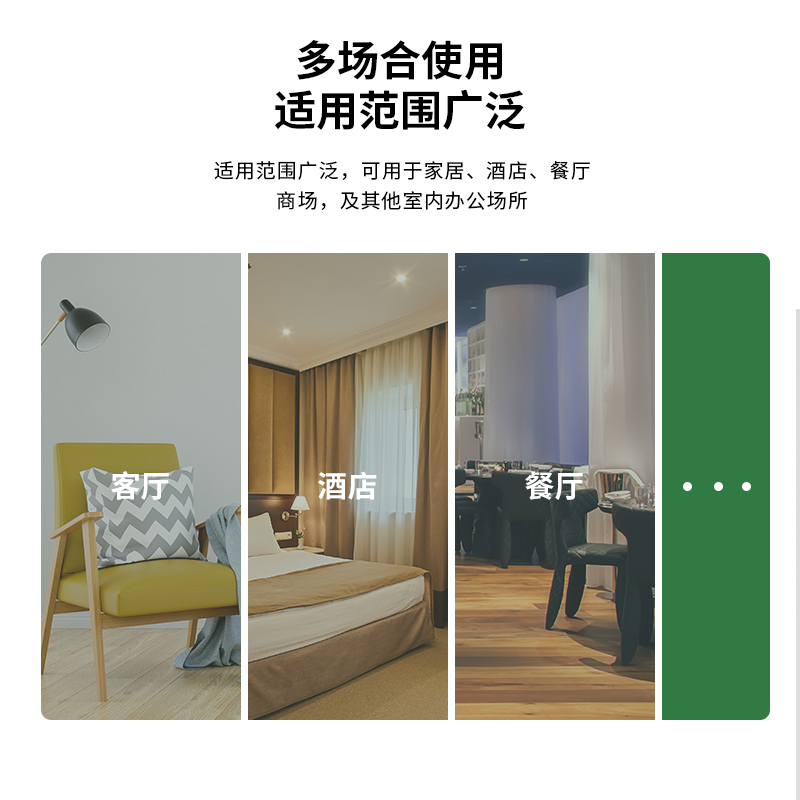 纵横9013S煤油温湿度计(白)(卡)