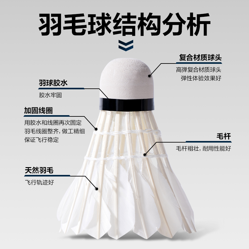 安格耐特F2202S羽毛球(白)(12只/筒)