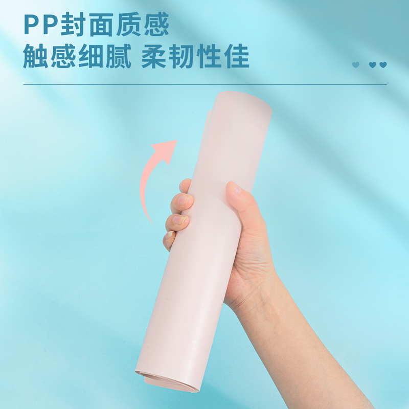 纵横HB540畅彩活页本(畅彩粉)(本)