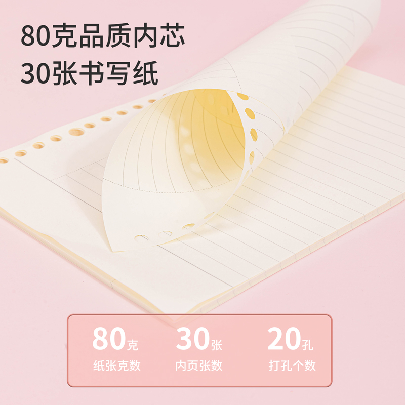 纵横NA530-1活页替芯(康奈尔)(本)