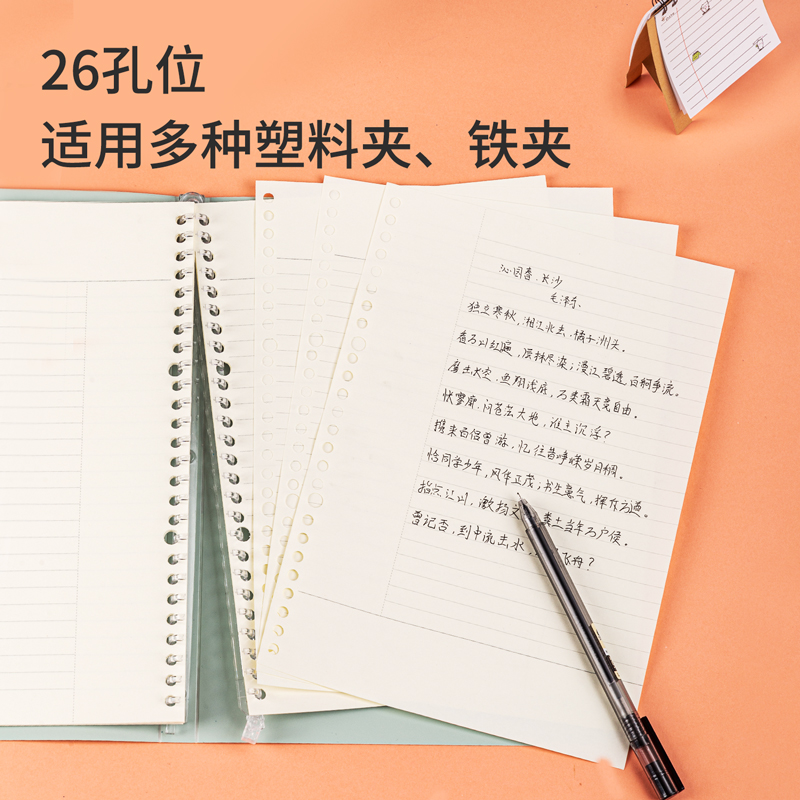 纵横NB530-1活页替芯(康奈尔)(本)