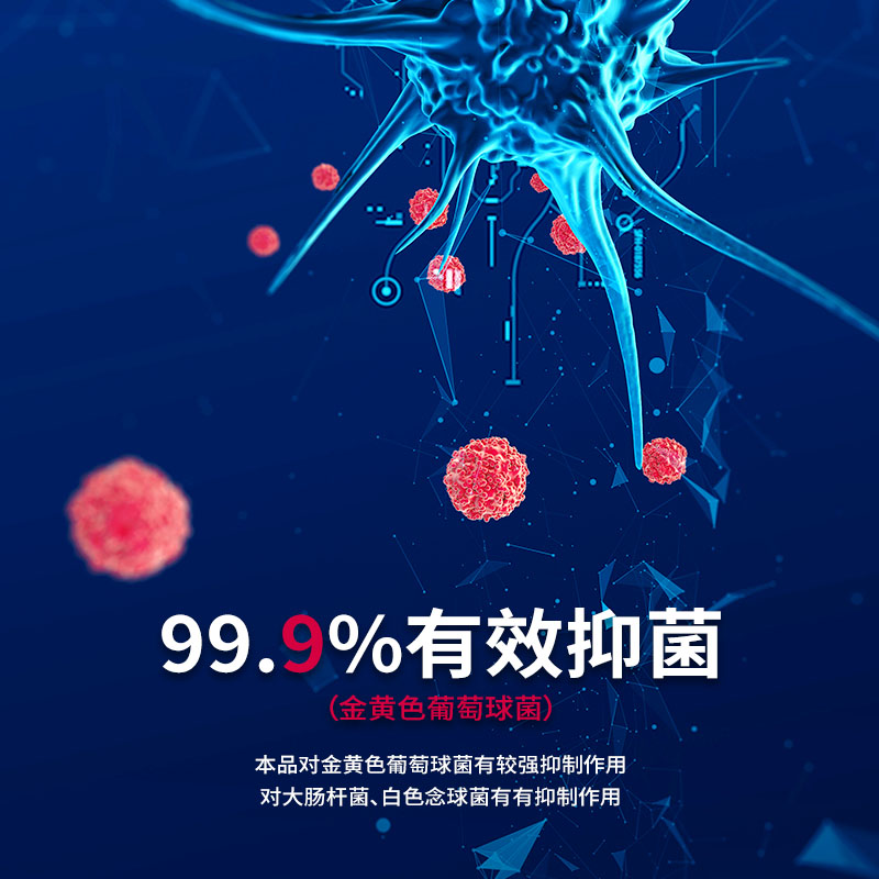 纵横31018抑菌洗手液(透明)(500ml/瓶)