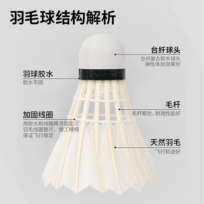 安格耐特FH176羽毛球(12只/筒)(白)(筒)