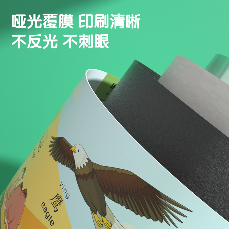 纵横YZ130-3有声挂图-3张套装(场景类)(混)(张)