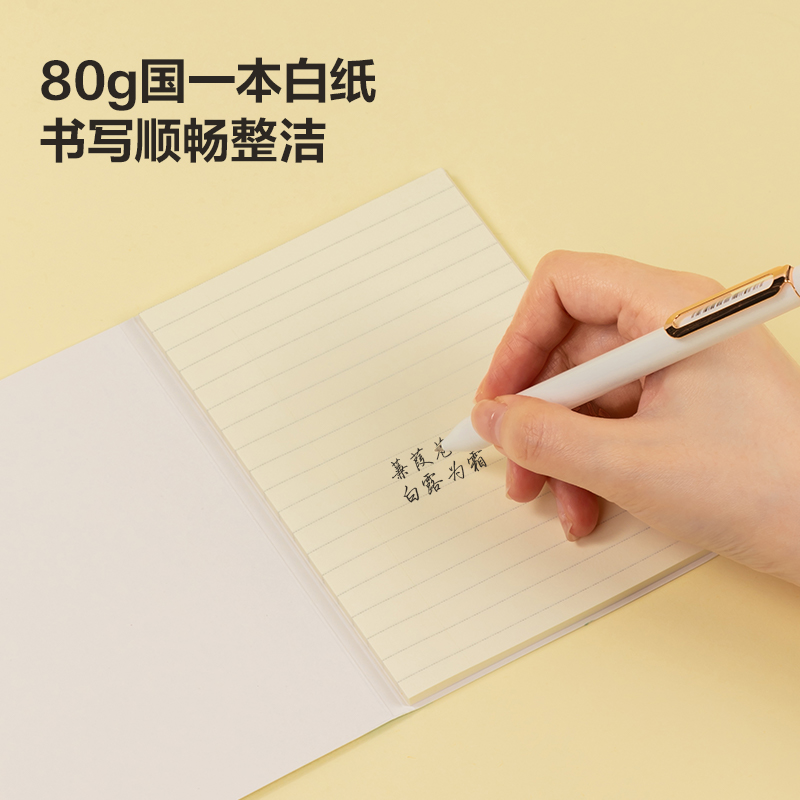 纵横BT188记事贴扩页贴100mm*150mm40张(竖线)(本)