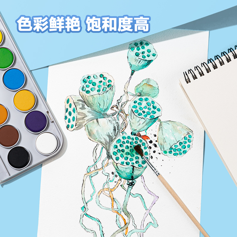 纵横HS112-16固体水彩颜料(混)(16色/盒)