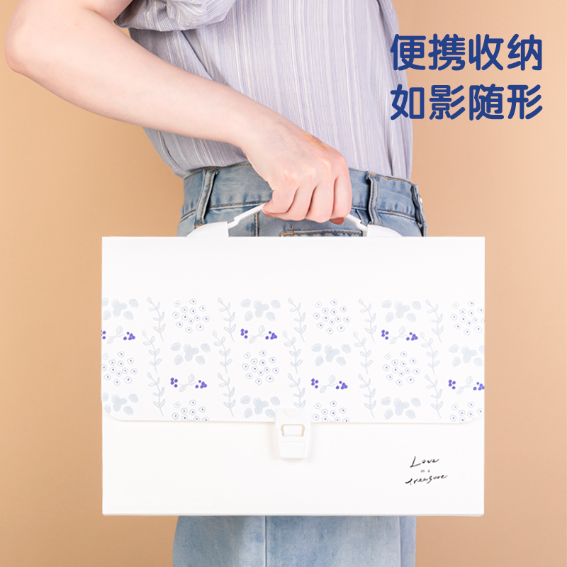 纵横PM318简单格调PP13格风琴包(简单格调混)(个)