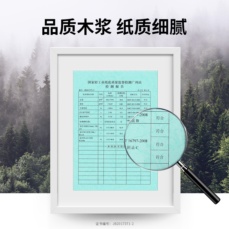 纵横波罗海BL241-5电脑打印纸(1/3CS彩色撕边)(500页/盒)