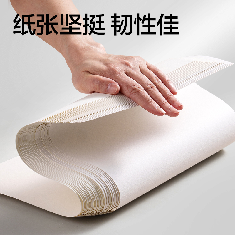 dmast丹途RS3-8K素描纸160g8k（混）（20张/袋）