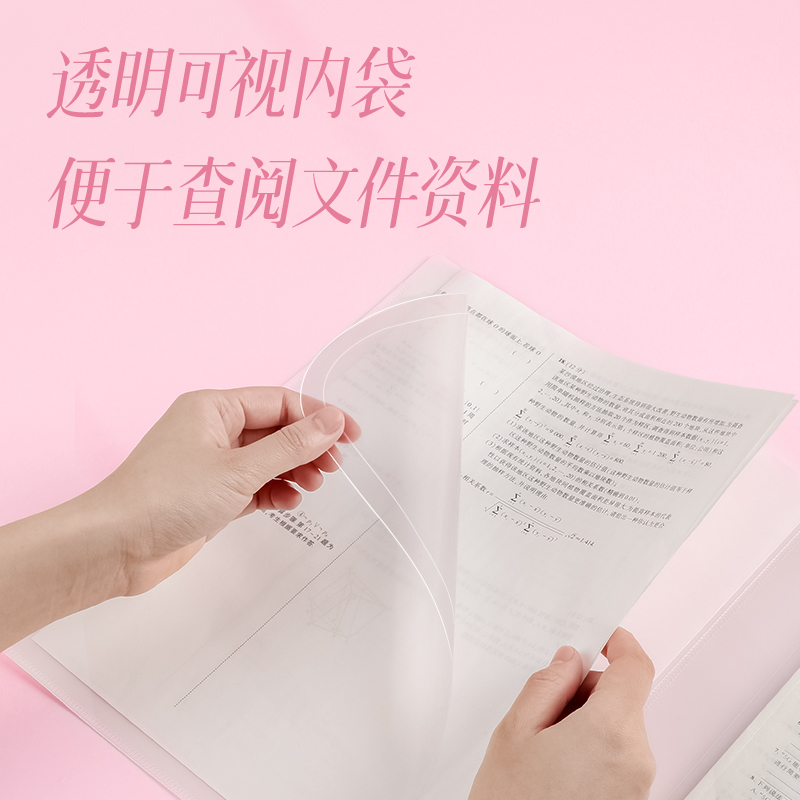 纵横PP501_A4光樱下4入文件套(樱花混)(个)
