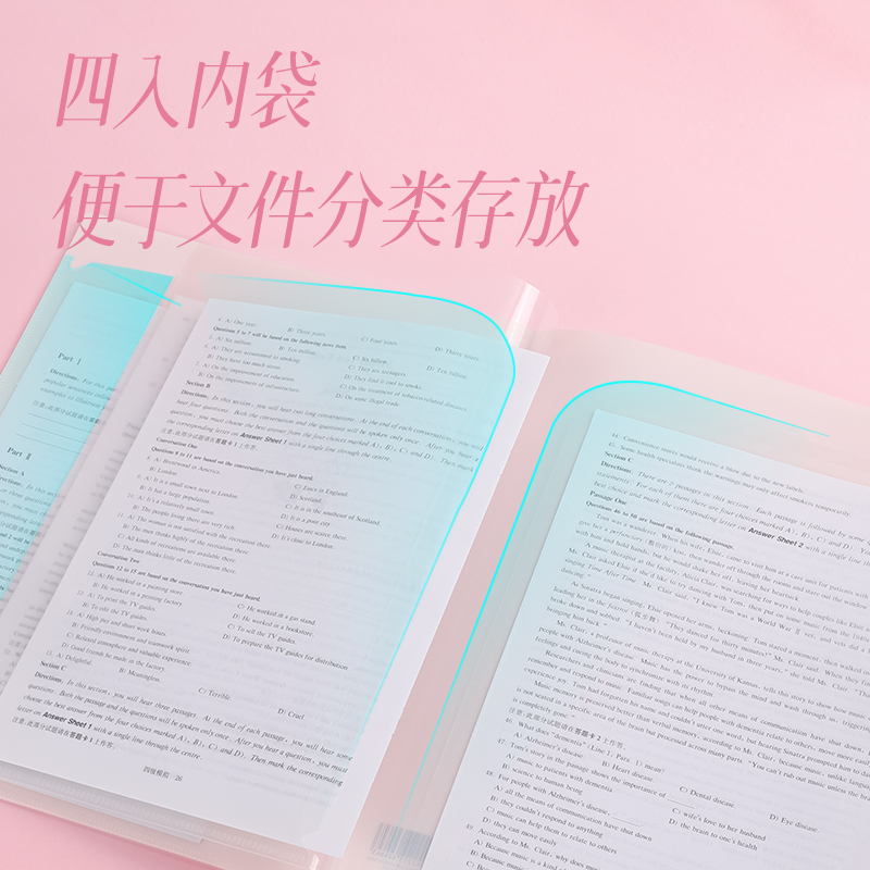 纵横PP501_A4光樱下4入文件套(樱花混)(个)
