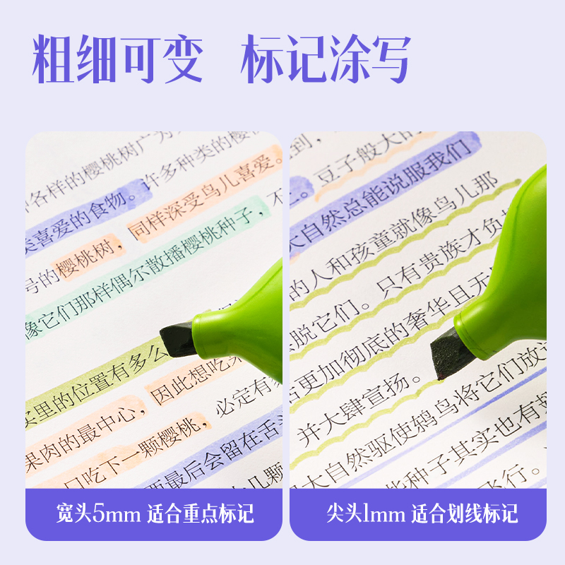 纵横SK206柔彩荧光笔抹茶青提(混)(4支/盒)
