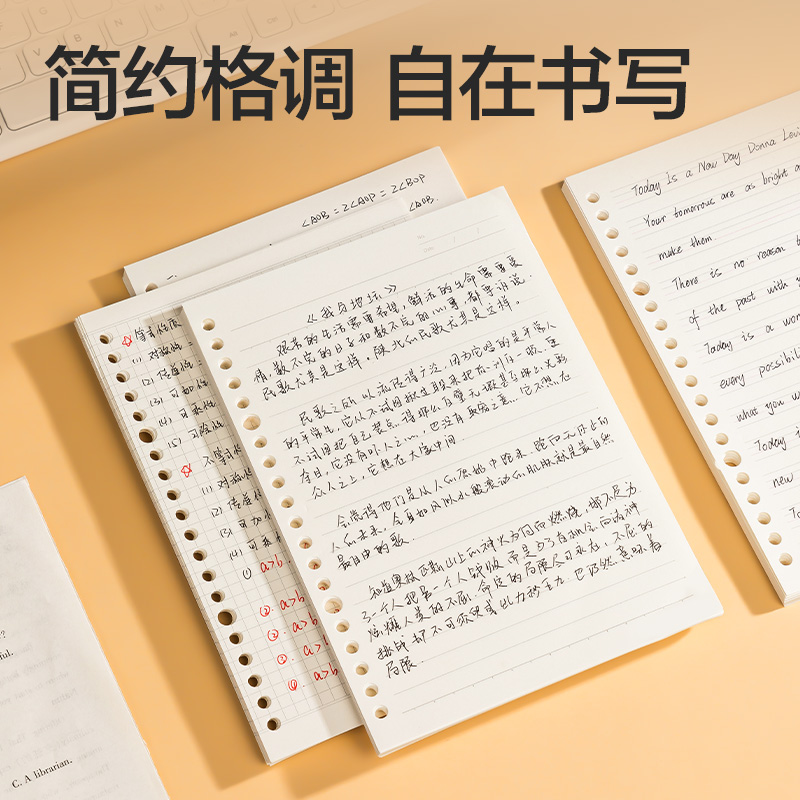 纵横NA550-1牛盾活页芯(空白)(本)