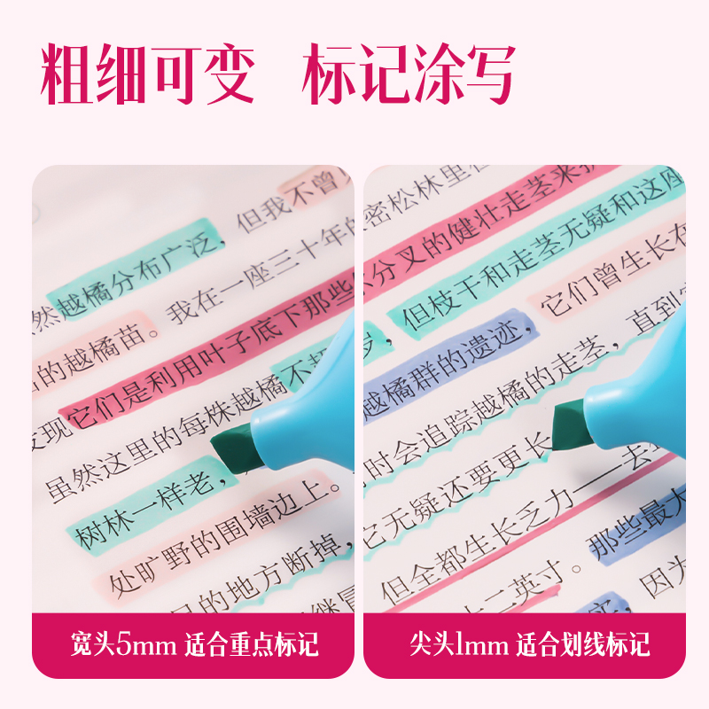 纵横SK205柔彩荧光笔桃气奶芙(混)(4支/盒)