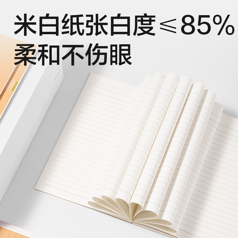 纵横WB540-P无线装订本(行纭纸 牛皮纸笔记本)(本)