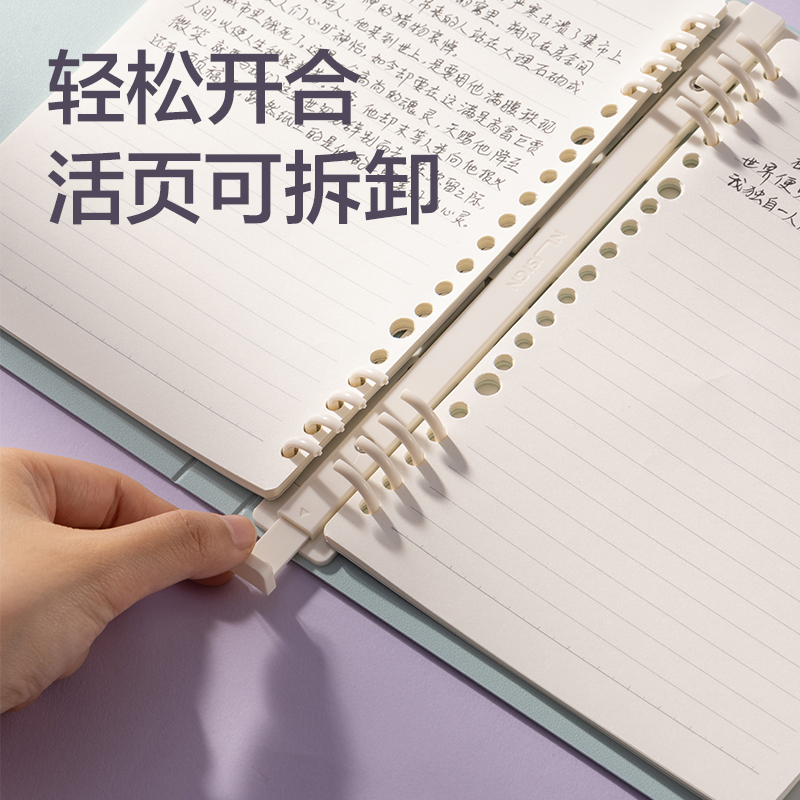 纵横HB560活页本(乐素2)(本)