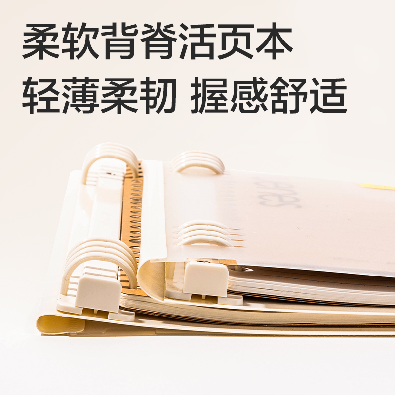 纵横HB540-Q软背脊活页本(行纭纸 牛皮纸笔记本)(本)