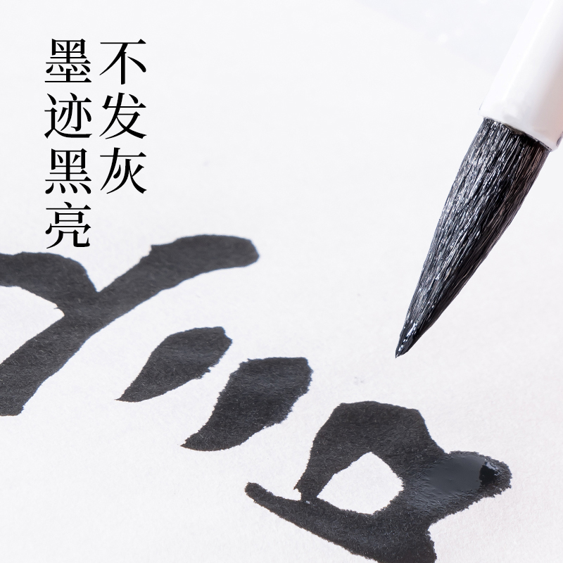 墨青言MY300-100一得阁联名墨云练习墨汁(100g)(黑)(瓶)