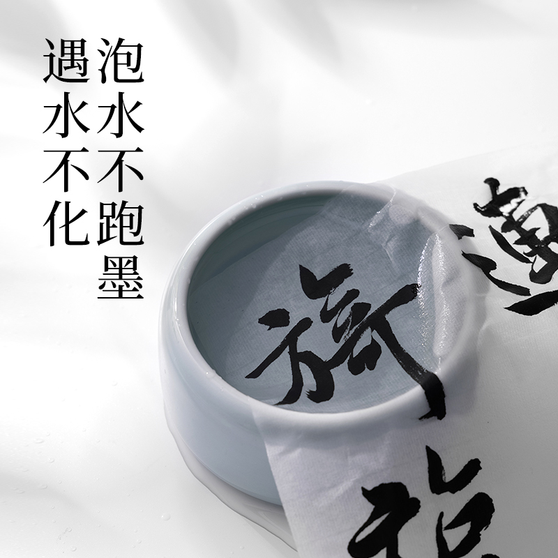 墨青言MY300-100一得阁联名墨云练习墨汁(100g)(黑)(瓶)