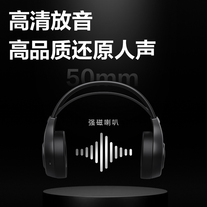 纵横LT500听说耳机(黑)(台)