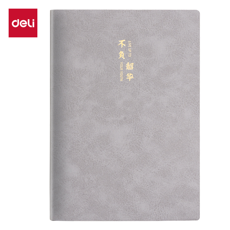 纵横BP103皮面本A5 210mm×143mm120张/(灰色)(本)
