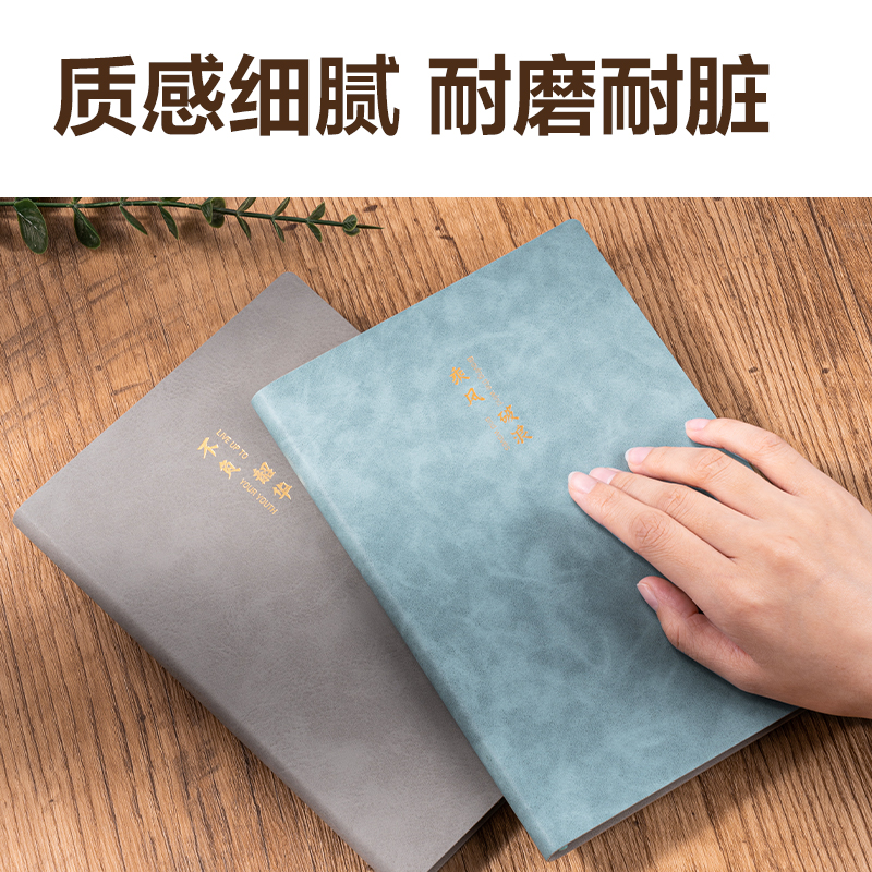 纵横BP103皮面本A5 210mm×143mm120张/(灰色)(本)