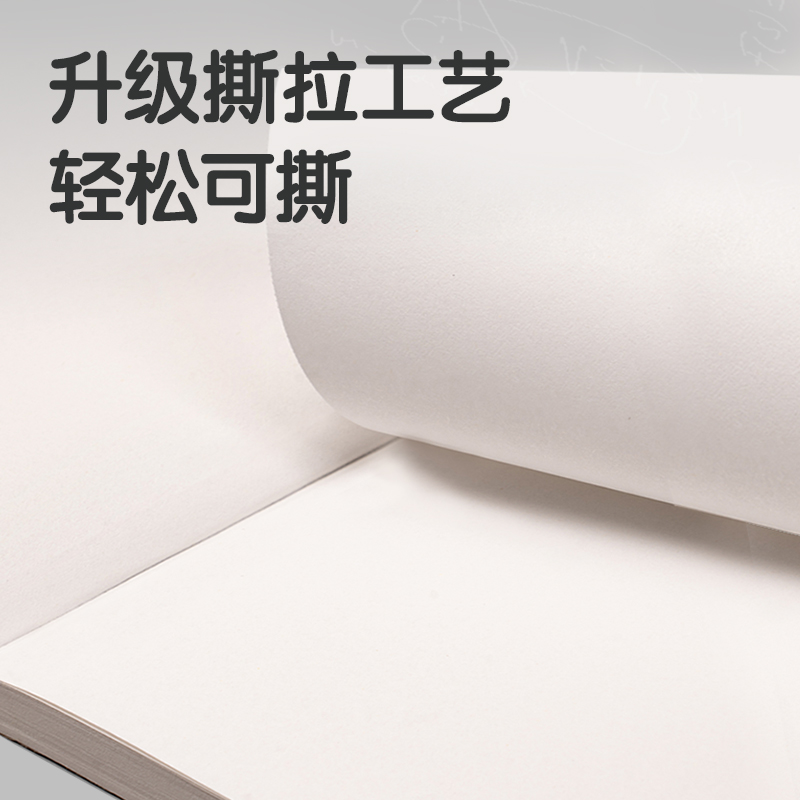 纵横WB5100草稿本(空白-单本)(本)