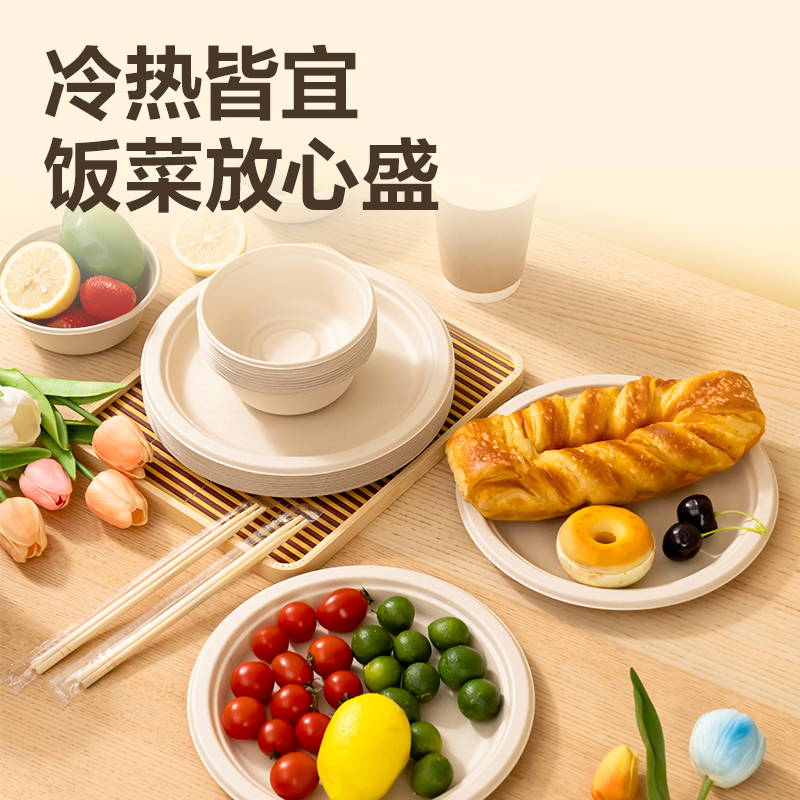 纵横得心LL252一次性甘蔗浆餐盘(直径23cm)(甘蔗浆本色)(20只/包)