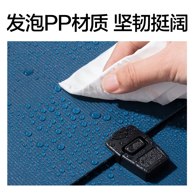 纵横PM103乐素13格发泡PP商务风琴包(蓝)(个)