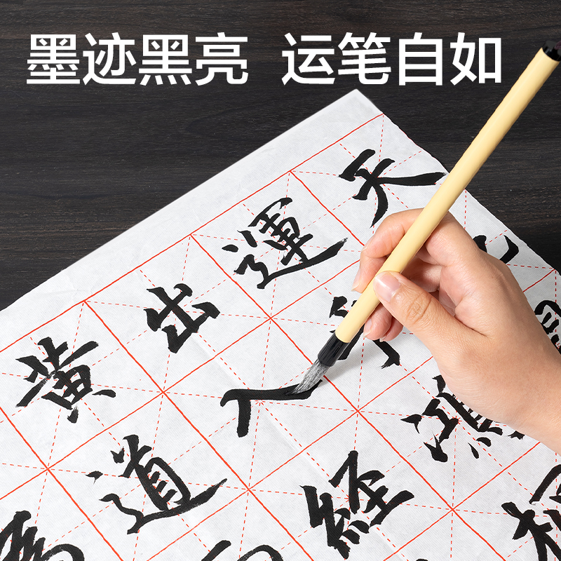 纵横HW304-100练习墨汁100ml(黑)(瓶)